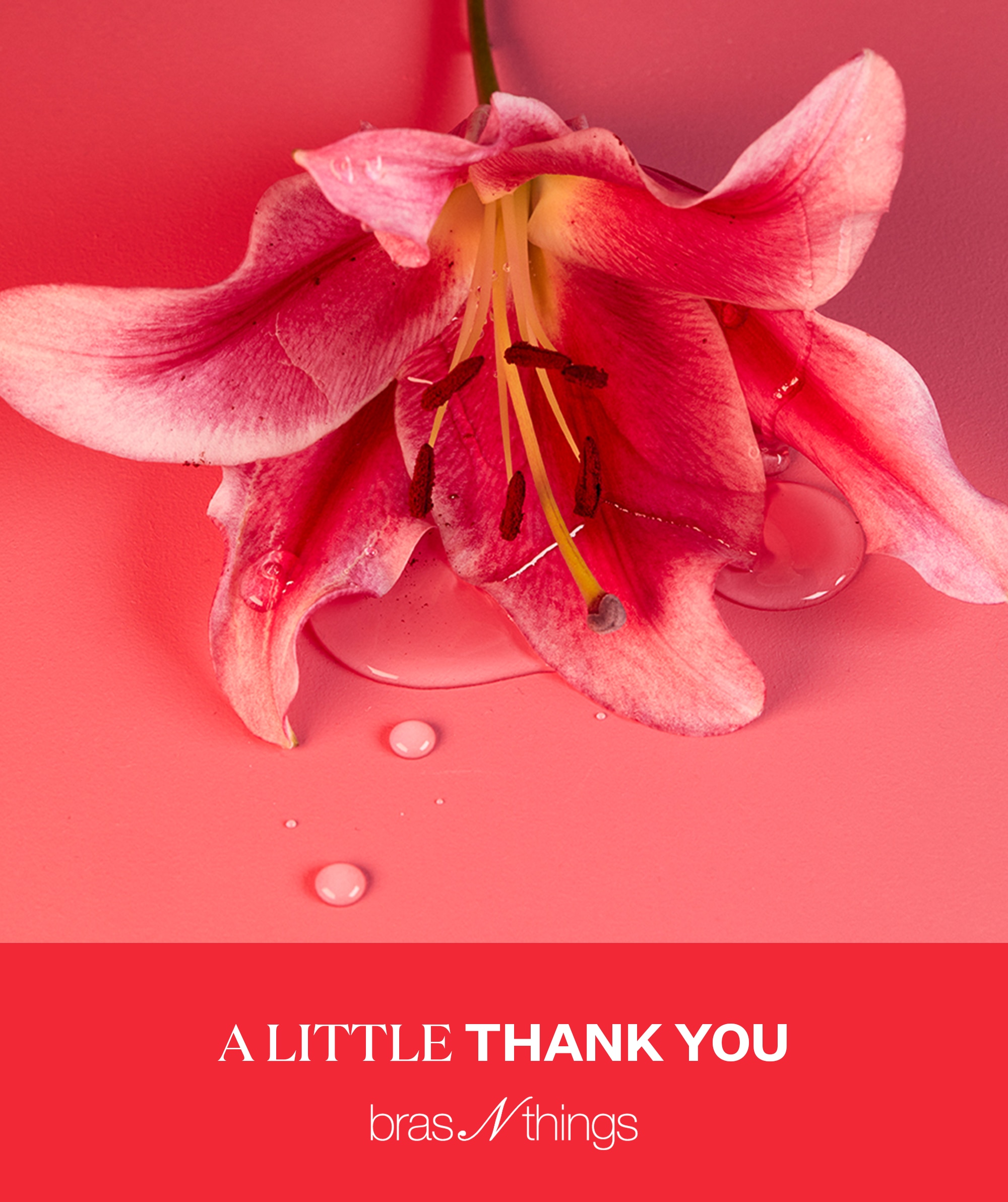 eGift Card Voucher - Thank you
