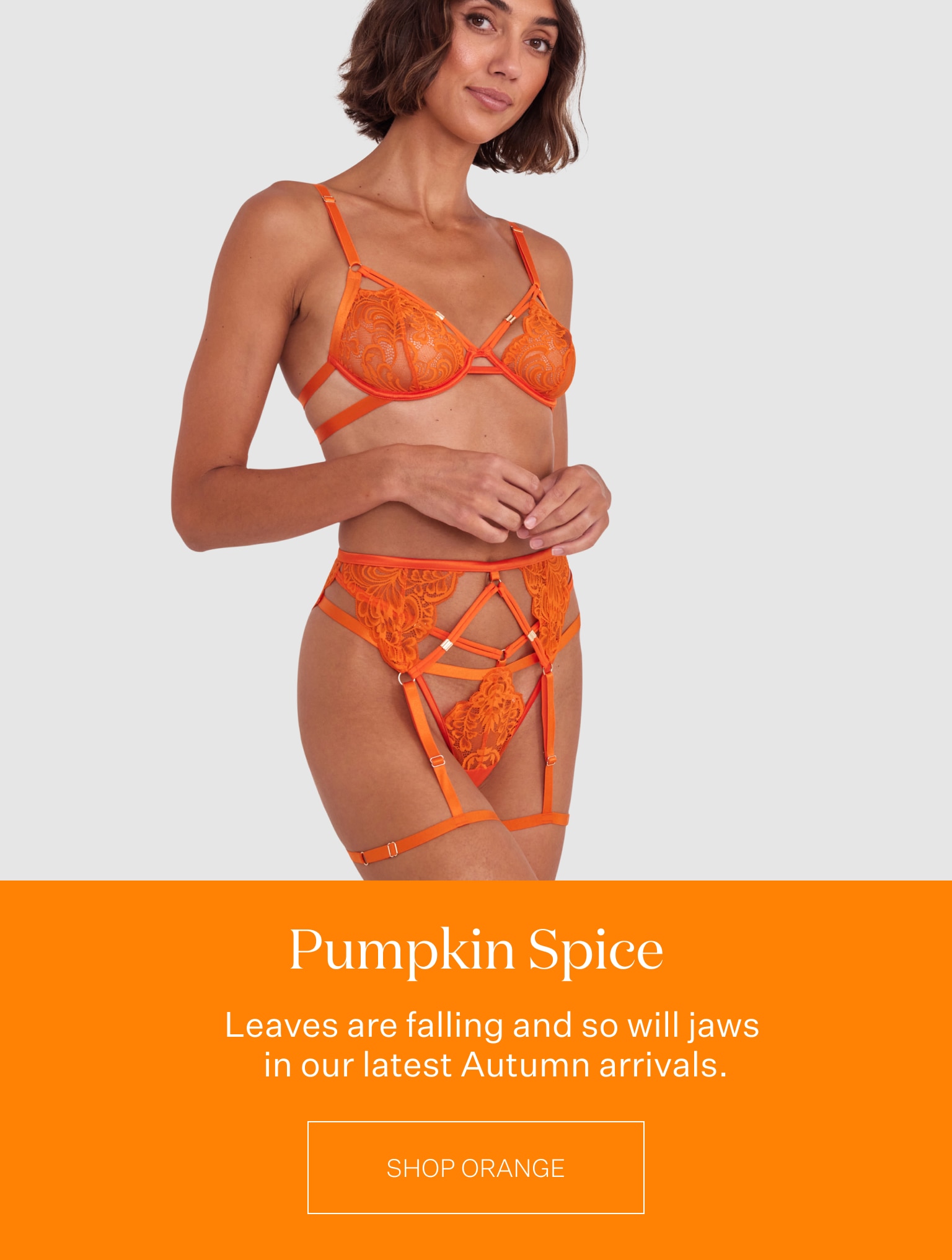 if you've got it, haunt it 🎃  Buy 2 Bras, get a 3rd FREE! - Bras N Things  Email Archive