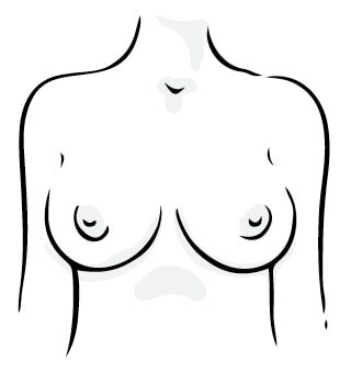 Round breasts shape