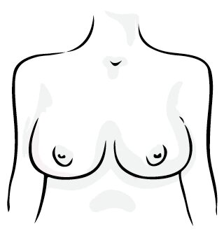 Full figure breasts shape