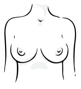Round breasts shape